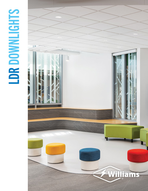 LDR Downlights Our streamlined downlight solution is priced right and ships fast.